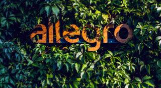 Allegro wprowadza nowość. Polacy nie mogą się doczekać