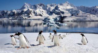 zmiany-klimatu-demoluja-lod-na-Antarktydzie