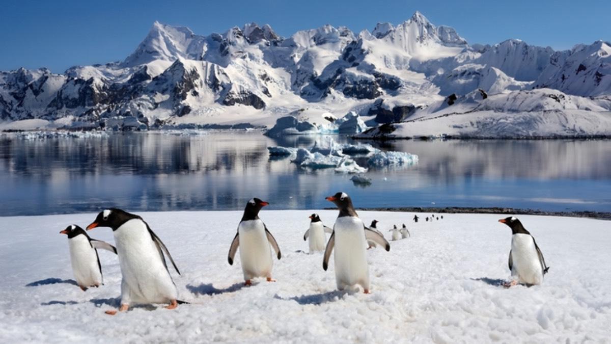 zmiany-klimatu-demoluja-lod-na-Antarktydzie
