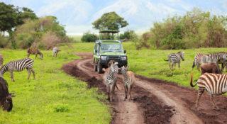 Wakacje w Afryce. Jakie wybrać ubezpieczenie turystyczne?