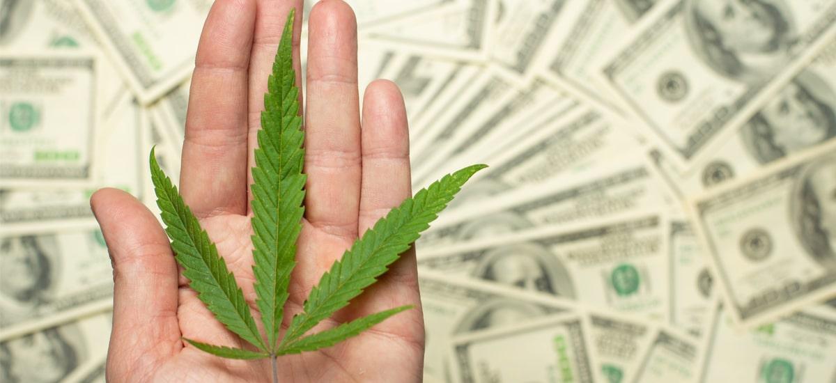 marihuana akcyza pieniądze