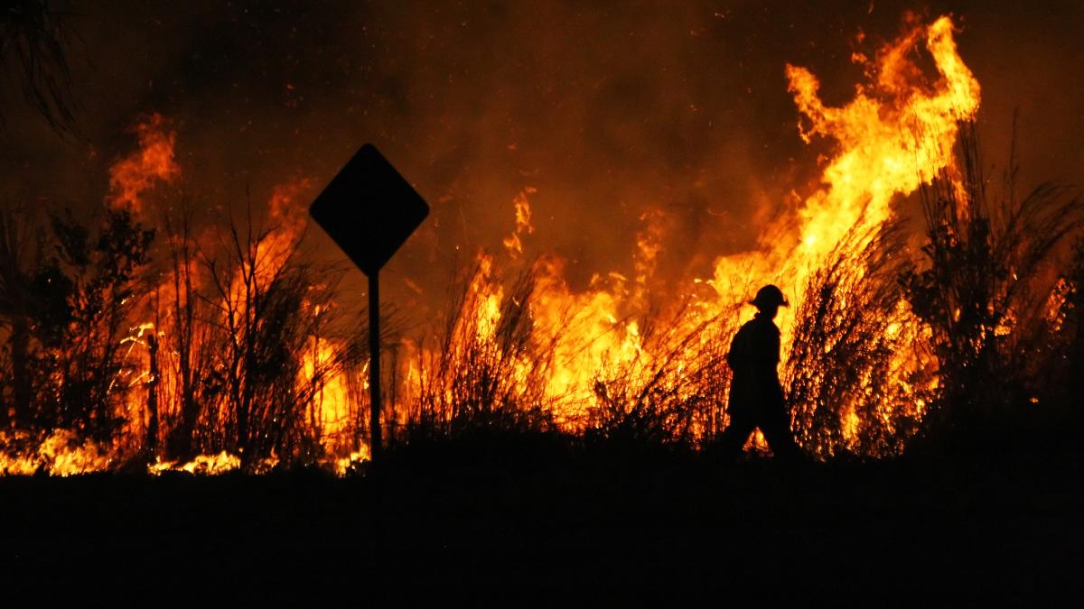 Producenci węgla są winni wielkich pożarów, które wybuchają na całym świecie. Naukowcy ujawnili dowody