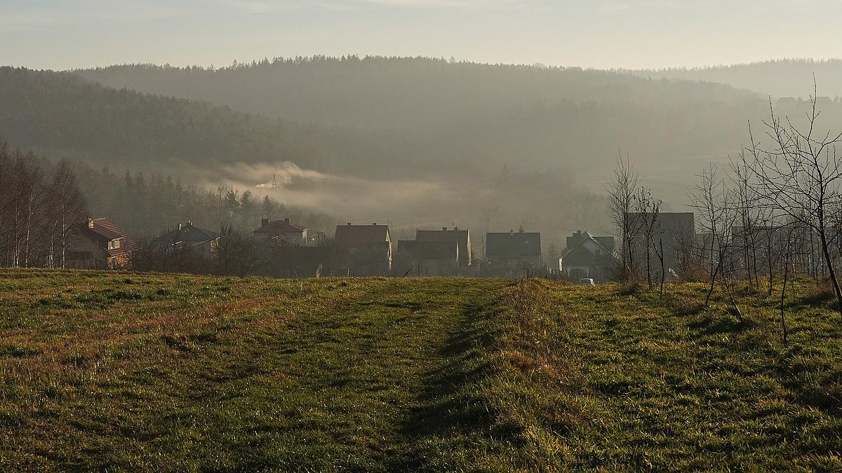 Smog w Polsce. Prawnicy dla Ziemi skarżą do sądu dużego producenta ekogroszku