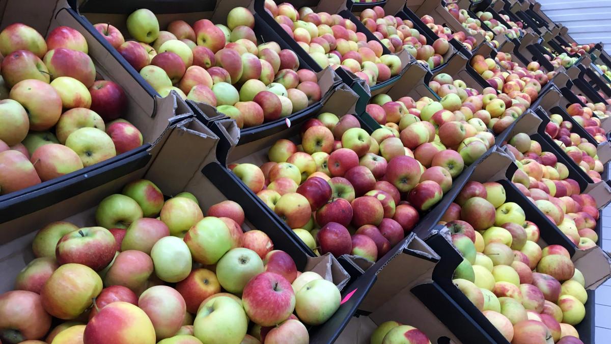 Ceny jabłek. UOKiK na tropie nieuczciwej przewagi kontraktowej