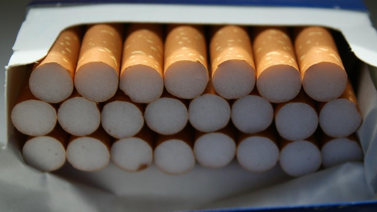 Polska liderem walki z szarą strefą tytoniową