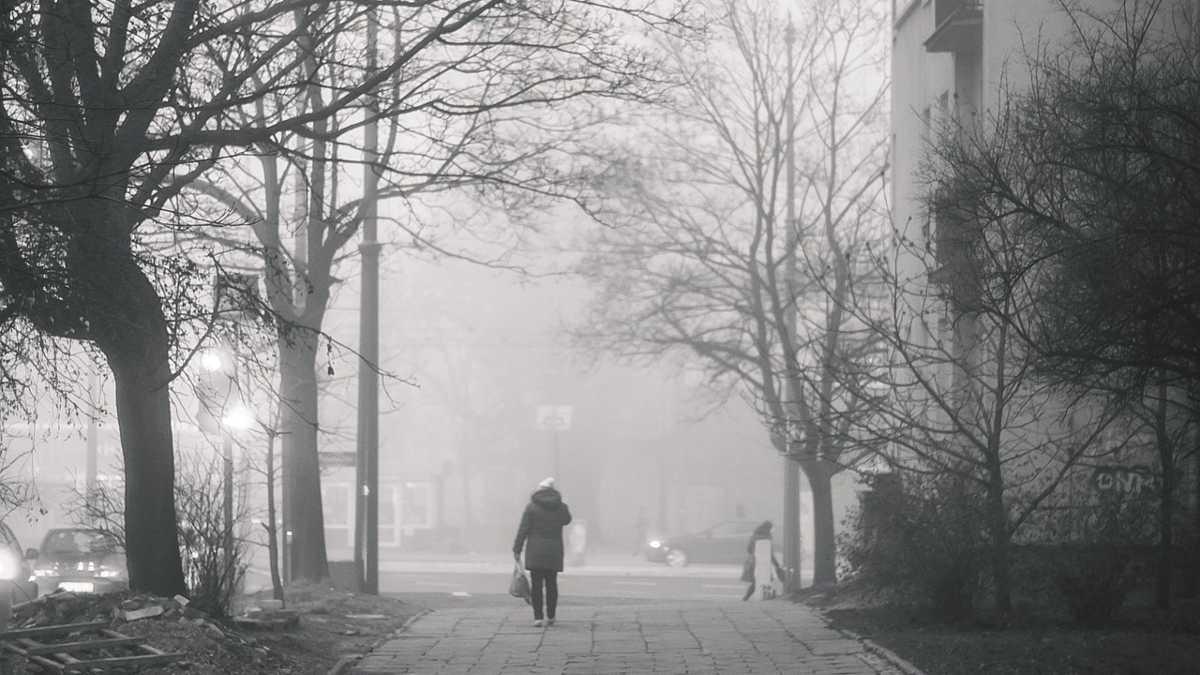 Potężny smog dotarł do Gdańska. A naukowcy mają coraz gorsze wieści